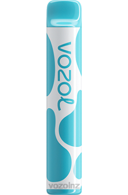 VOZOL Flavours NZ - VOZOL JOYGO 600 BLUEBERRY SOUR RASPBERRY FDF0377