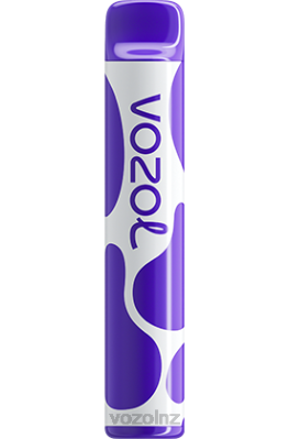 VOZOL Flavours NZ - VOZOL JOYGO 600 MIXED BERRIES FDF0388