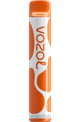 VOZOL NZ - VOZOL JOYGO 600 MANGO ICE FDF0386