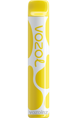 VOZOL Vape Flavours NZ - VOZOL JOYGO 600 VANILLA CREAM TOBACCO FDF0393