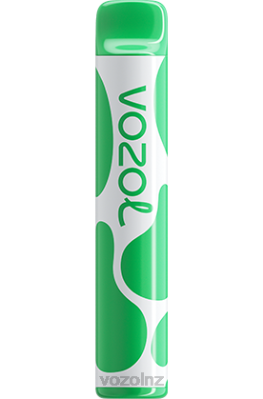 VOZOL Vape Flavours - VOZOL JOYGO 600 WATERMELON ICE FDF0395