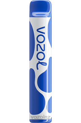 VOZOL Vape NZ Price - VOZOL JOYGO 600 BLUEBERRY STORM FDF0390