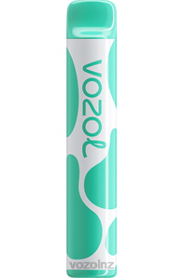 VOZOL Vape NZ - VOZOL JOYGO 600 MENTHOL FDF0387