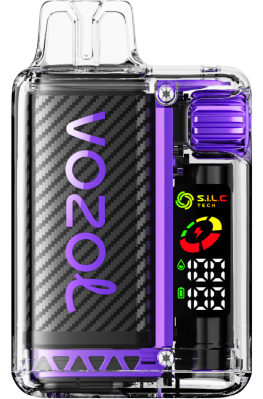 VOZOL Vape Flavours - VOZOL VISTA 16000/20000 MIXED BERRIES FDF010