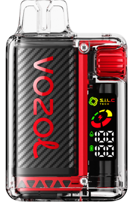 VOZOL Vape NZ - VOZOL VISTA 16000/20000 RASPBERRY WATERMELON FDF013