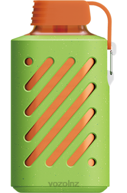 VOZOL Disposable Vape NZ - VOZOL GEAR 10000 PEACH MANGO WATERMEION FDF0303