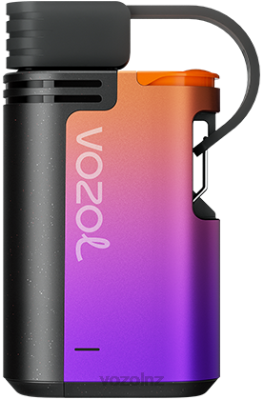 VOZOL Disposable Vape NZ - VOZOL GEAR 4000C/6000 GRAPE ICE FDF0325