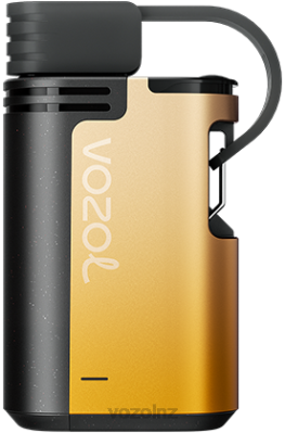 VOZOL Vape Flavours NZ - VOZOL GEAR 4000C/6000 MANGO PASSION FRUIT FDF0327