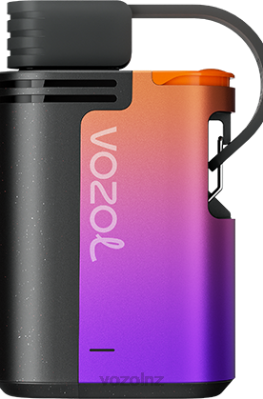 VOZOL Vape NZ Price - VOZOL GEAR 4000C/6000 FOREST BERRY STORM FDF0324