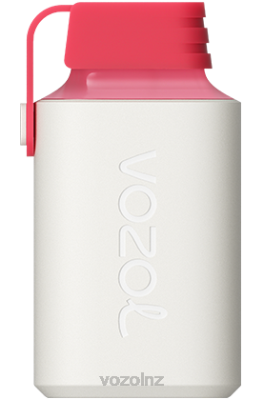 VOZOL Disposable Vape NZ - VOZOL GEAR 600 STRAWBERRY RASPBERRY CHERRY FDF0358