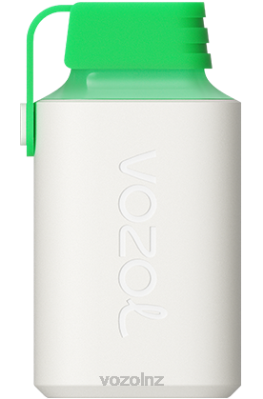 VOZOL Disposable Vape - VOZOL GEAR 600 LEMON MOJITO FDF0352