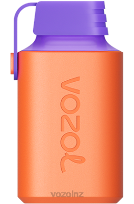 VOZOL NZ - VOZOL GEAR 600 LYCHEE GUAVA WATERMELON FDF0353