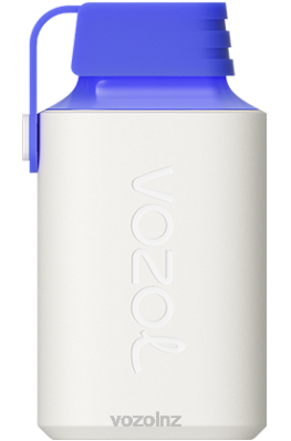 VOZOL Vape NZ Price - VOZOL GEAR 600 BLUE RAZZ LEMON FDF0346