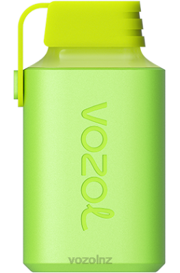 VOZOL Vape NZ - VOZOL GEAR 600 MENTHOL FDF0354