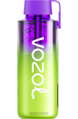 VOZOL Disposable Vape NZ - VOZOL NEON 10000 RASPBERRY WATERMELON FDF0237