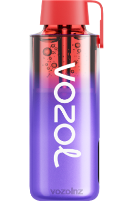 VOZOL Disposable Vape - VOZOL NEON 10000 BLACKBERRY ICE FDF0242