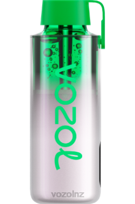 VOZOL Flavours NZ - VOZOL NEON 10000 GRAPE ICE FDF0234