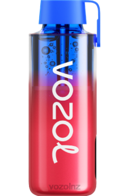 VOZOL NZ - VOZOL NEON 10000 BLUEBERRY ICE FDF0243