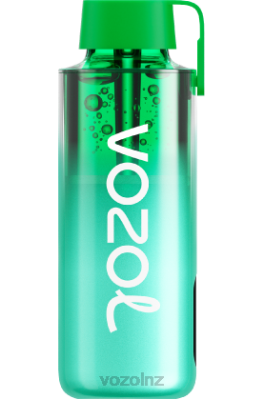 VOZOL Vape Price - VOZOL NEON 10000 MIAMI MINT FDF0229