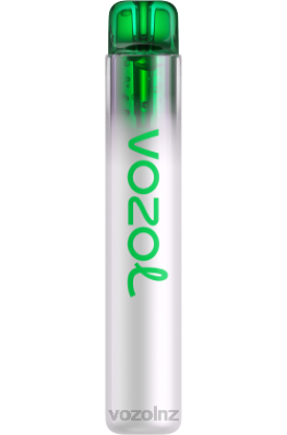 VOZOL Vape Flavours - VOZOL NEON 800 LEMON MOJITO FDF0274