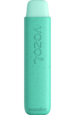 VOZOL Vape Price - VOZOL STAR 550 COOL MINT FDF0141