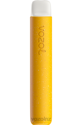 VOZOL Disposable Vape NZ - VOZOL STAR 600 BANANA ICE FDF072