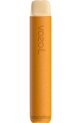 VOZOL Disposable Vape NZ - VOZOL STAR 600 STRAWBERRY BANANA FDF094