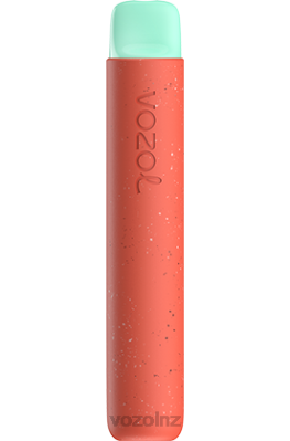 VOZOL Disposable Vape - VOZOL STAR 600 LYCHEE GUAVA WATERMELON FDF088