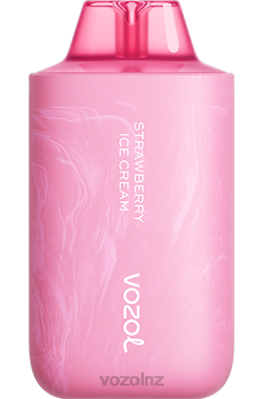 VOZOL Disposable Vape - VOZOL STAR 6000/8000 V2 STRAWBERRY ICE CREAM FDF066