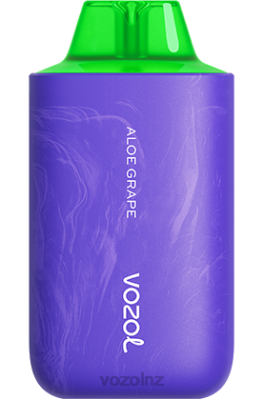 VOZOL Vape Flavours - VOZOL STAR 6000/8000 V2 ALOE GRAPE FDF054