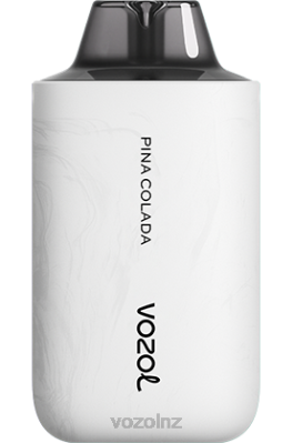 VOZOL Vape Price - VOZOL STAR 6000/8000 V2 PINA COLADA FDF053