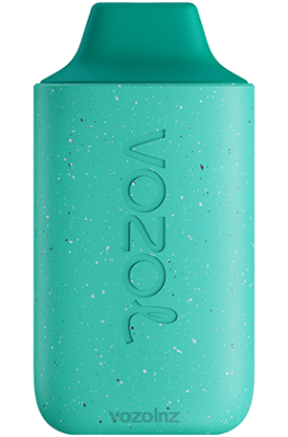 VOZOL Disposable Vape - VOZOL STAR 6000 COOL MINT FDF0110