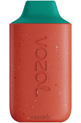 VOZOL Disposable Vape - VOZOL STAR 6000 STRAWBERRY RASPBERRY FDF0132