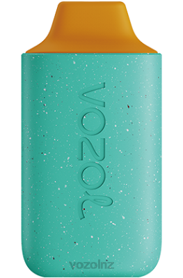 VOZOL Flavours NZ - VOZOL STAR 6000 CEDAR POMELO FDF0102