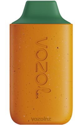 VOZOL Vape Flavours - VOZOL STAR 6000 MANGO PEACH WATERMELON FDF0120