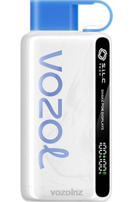 VOZOL Disposable Vape NZ - VOZOL STAR 9000/12000 VZBull FDF050