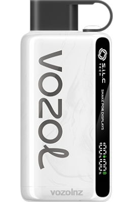 VOZOL Disposable Vape - VOZOL STAR 9000/12000 TOBACCO FDF033