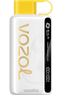 VOZOL Flavours NZ - VOZOL STAR 9000/12000 KIWI PASSION FRUIT GUAVA FDF025