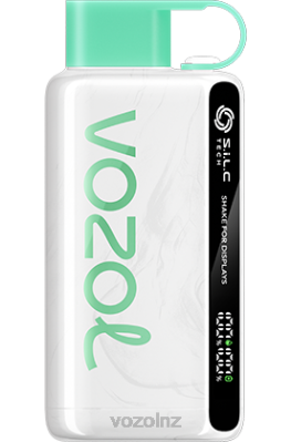 VOZOL NZ - VOZOL STAR 9000/12000 WATERMELON BUBBLE GUM FDF034