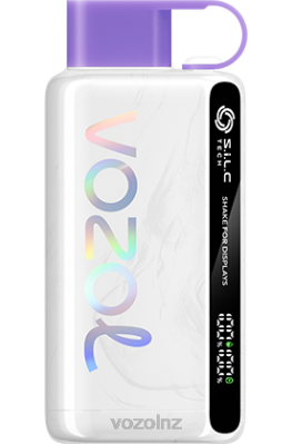 VOZOL Vape NZ - VOZOL STAR 9000/12000 GRAPE ICE FDF024