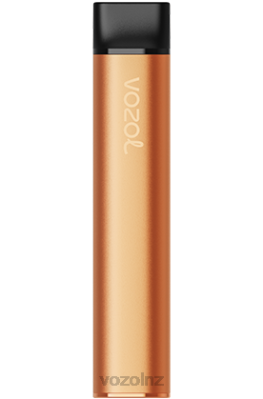 VOZOL Disposable Vape NZ - VOZOL SWITCH 600 MANGO ICE FDF0226