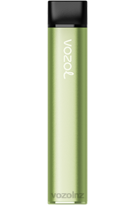 VOZOL Flavours NZ - VOZOL SWITCH 600 COOL MINT FDF0223