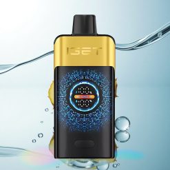 IGET ONE 12000 Puffs Kiwi Pineapple 2700mAh Dual Mesh