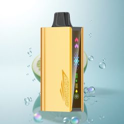 JNR Cruiser 12000 Cool Mint Dual Mesh 3500mAh Disposable Vape