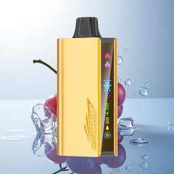 JNR Cruiser 12000 Grape Ice Dual Mesh 3500mAh