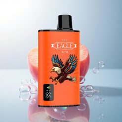 JNR EAGLE Smart 23000 Juicy Peaches 750mAh 2% Nicotine