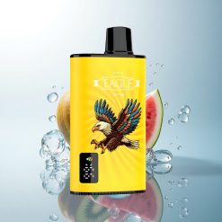 JNR EAGLE Smart 23000 Kiwi Watermelon Ice 750mAh 25ml