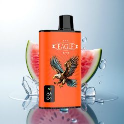 JNR EAGLE Smart 23000 Watermelon Ice Digital Screen 750mAh