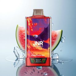 JNR Falcon Pro 28000 Watermelon Ice Dual Mesh 950mAh