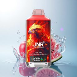 JNR Falcon X 18000 Cherry Watermelon Freeze 24ml Dual Mesh 750mAh